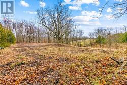 PART 2 16R6350 - PTLT 16 5 SIDE ROAD Chatsworth, ON N0H 1G0