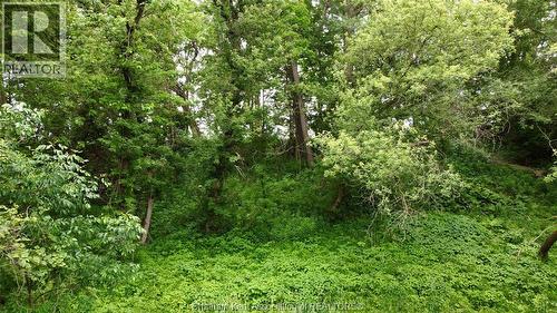 0 River Line, Chatham-Kent, ON 