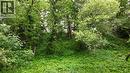 0 River Line, Chatham-Kent, ON 
