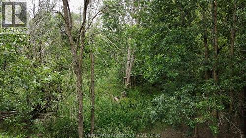 0 River Line, Chatham-Kent, ON 