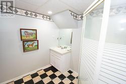 Full basement bathroom - 