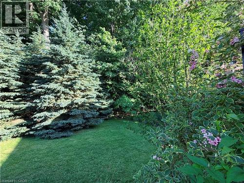 765 Chesapeake Drive, Waterloo, ON 