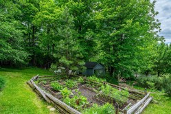 Garden - 