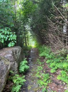 Water access - 