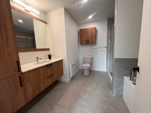 Salle de bains - 212-282 Rue Du Cardinal, Saint-Amable, QC 