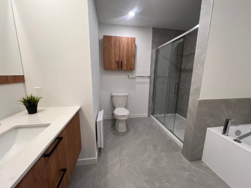 Salle de bains - 212-282 Rue Du Cardinal, Saint-Amable, QC 