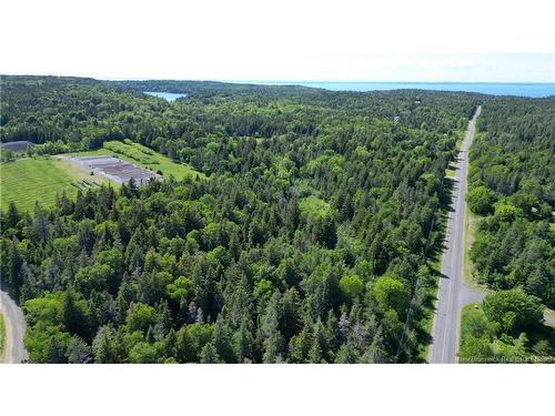 - Whistle Rd, Grand Manan, NB 