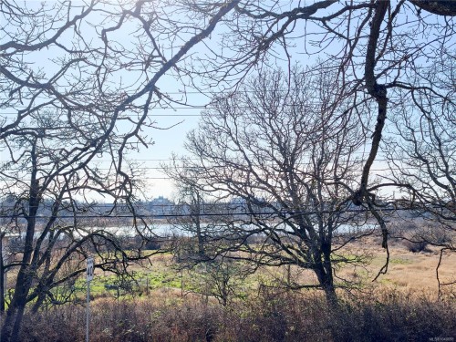 3933 Saanich Rd, Saanich, BC 