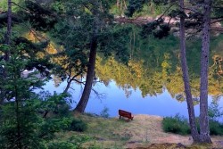 75 Whaler Bay Rd Galiano Island, BC V0N 1P0
