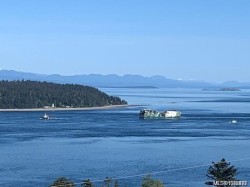 253 Alder St SOUTHCampbell River, BC V9W 2M9