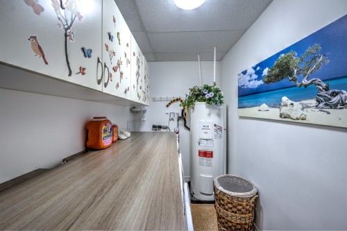 Laundry - 123  - 125 Rue Alexandre, Saint-Calixte, QC - Indoor