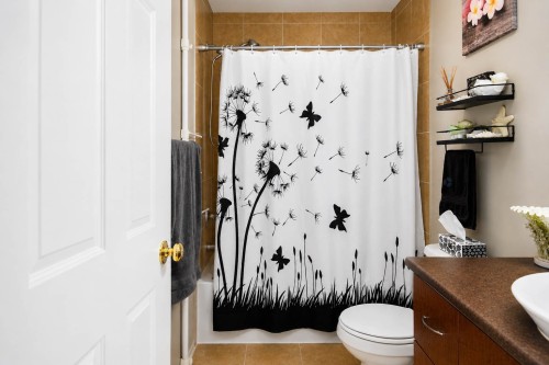 Salle de bains - 9-7320 Rue Du Chardonneret, Brossard, QC 