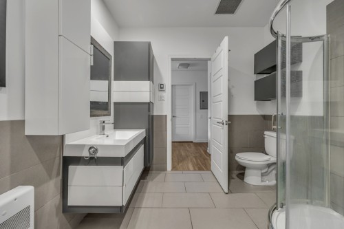 Bathroom - 202-598 8E Avenue, Québec (La Cité-Limoilou), QC 