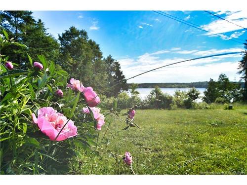 901 North Rd, Welshpool, NB 
