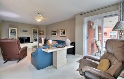 Overall view - 