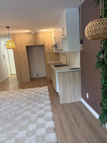 Overall view - 101-1360 Rue Principale, Saint-Roch-De-L'Achigan, QC 