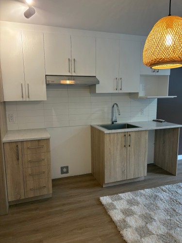 Kitchenette - 101-1360 Rue Principale, Saint-Roch-De-L'Achigan, QC 