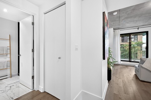 Vue d'ensemble - 312-170 Rue Rioux, Montréal (Le Sud-Ouest), QC 