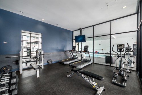 Salle d'exercice - 312-170 Rue Rioux, Montréal (Le Sud-Ouest), QC 
