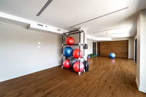 Salle d'exercice - 312-170 Rue Rioux, Montréal (Le Sud-Ouest), QC 