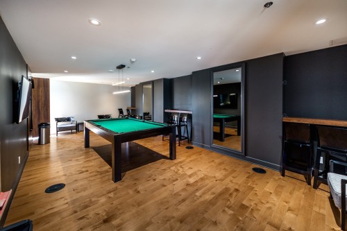 Salle de jeux - 312-170 Rue Rioux, Montréal (Le Sud-Ouest), QC 