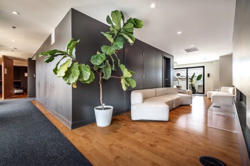 Salle communautaire - 312-170 Rue Rioux, Montréal (Le Sud-Ouest), QC 