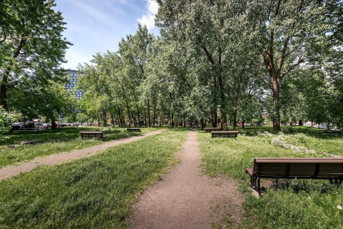 Jardin - 312-170 Rue Rioux, Montréal (Le Sud-Ouest), QC 