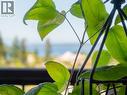 12-4420 Quebec Ave, Powell River, BC 