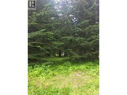 Ferguson Road Lot# 22  Ferguson, BC V0G 1R1