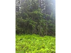Ferguson Road Lot# 23  Ferguson, BC V0G 1R1