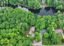 Deep well treed lot - 7463 Davy Drive, Ramara, ON 
