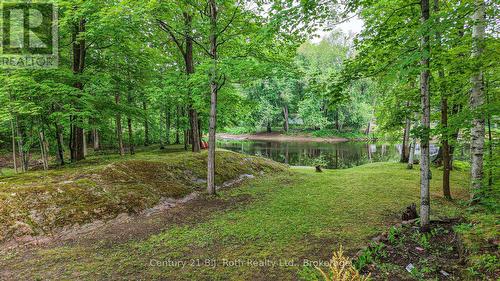 69 feet river frontage - 7463 Davy Drive, Ramara, ON 