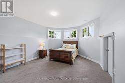 Lower level bedroom with window - 