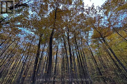 418 Concession 13 Road E, Tiny, ON 