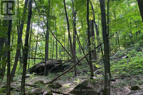 418 Concession 13 Road E, Tiny, ON 