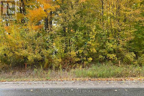 418 Concession 13 Road E, Tiny, ON 