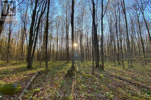 418 Concession 13 Road E, Tiny, ON 