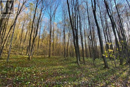 418 Concession 13 Road E, Tiny, ON 