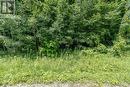 418 Concession 13 Road E, Tiny, ON 