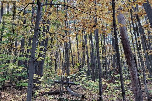 418 Concession 13 Road E, Tiny, ON 