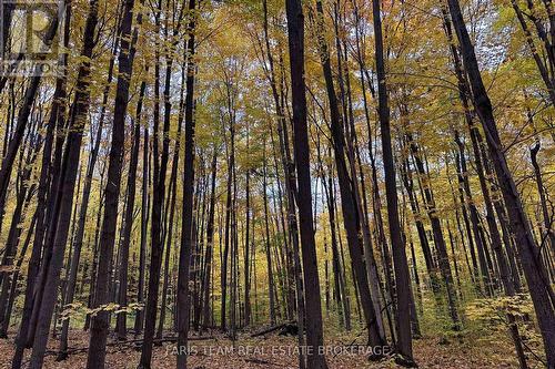 418 Concession 13 Road E, Tiny, ON 