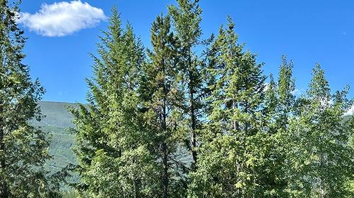 118 Sunflower Drive, Kimberley, BC 