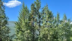 118 Sunflower Drive  Kimberley, BC V1A 0A8