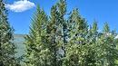 118 Sunflower Drive, Kimberley, BC 