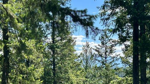 118 Sunflower Drive, Kimberley, BC 