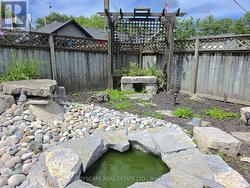 Backyard - 