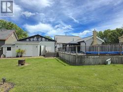 Backyard - 