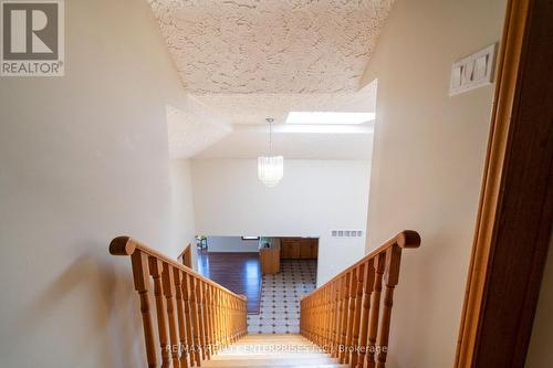 1351 Haig Boulevard, Mississauga, ON 