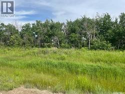 Lot 6 Viceroy ROAD North Battleford Rm No. 437, SK S9A 0S6
