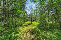 9 acres with trails to explore - 